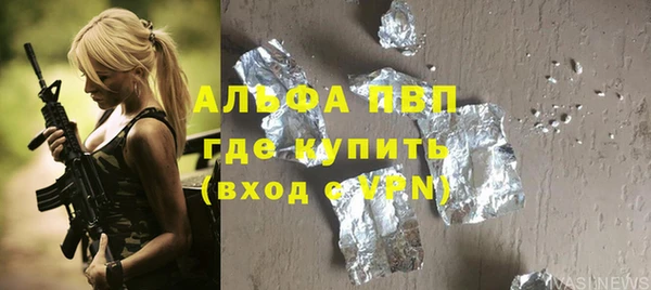 ПСИЛОЦИБИНОВЫЕ ГРИБЫ Арсеньев