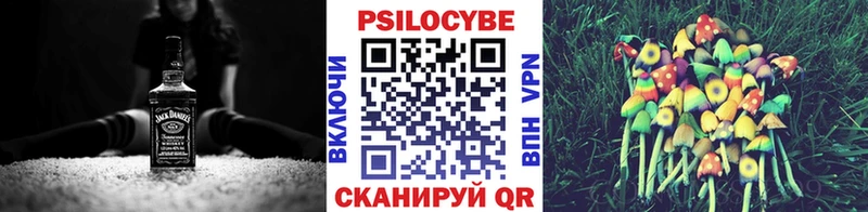Галлюциногенные грибы Psilocybine cubensis  купить наркотики цена  Агрыз 